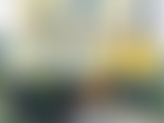 From Liga MX oblivion to Venezuela’s national team bench