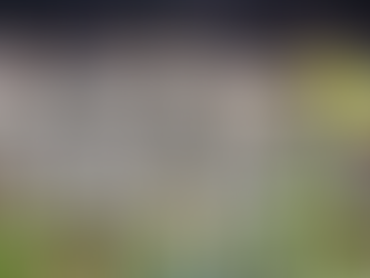 Suriname Faces Possible Exclusion From the 2026 World Cup Amid Federation Crisis