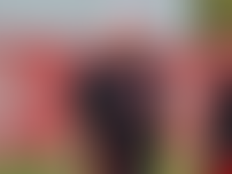 Abel Braga Apologizes After Homophobic Remark, but Controversy Intensifies