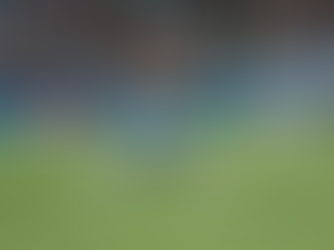 Charlotte FC Earns Draw Against FC Cincinnati