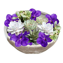 Close-up of a completed Pot et Fleur design featuring bold orchids and lush succulents in a modern ceramic container