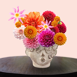 Bold sculptural flower arrangement featuring dahlias styled in a decorative concrete face vessel created at a floristry class at Bedfordshire flower school