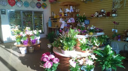 bealls florist 5.jpg
