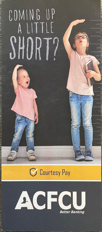 Thumbnail: Brochures (200 brochures per package)