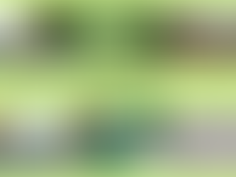 20 Jahre Schraff & Müller