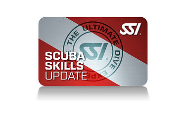 SSI Scuba Skills Update in Roatan