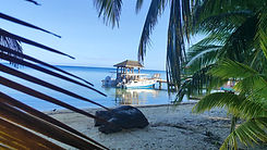 Roatan Dive Center West Endpg