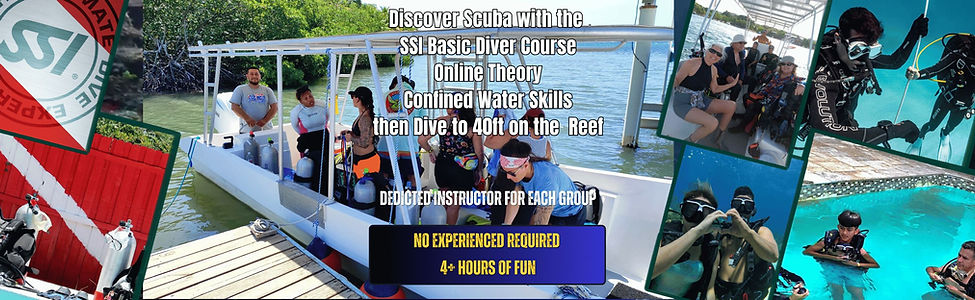 Discover Scuba with Roatan Dive Center