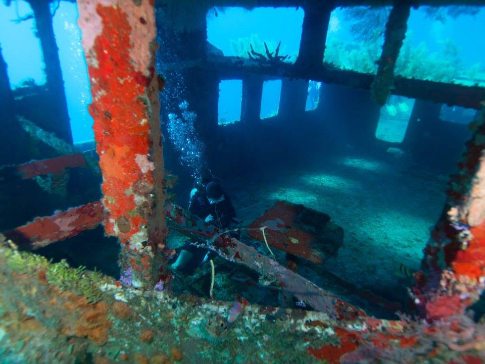 Mr Bud Wreck in Roatan