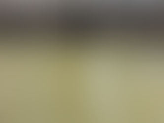 ...THEN I FELL OUT OF THE BOAT