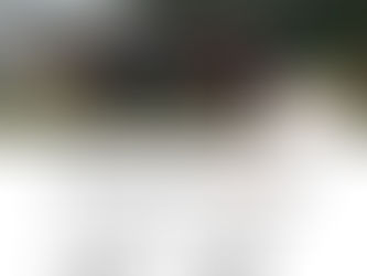 自由工作教練支援計劃