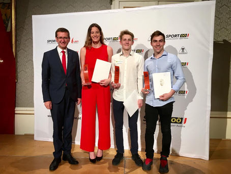 Sportehrenzeichen des Landes OÖ in Bronze