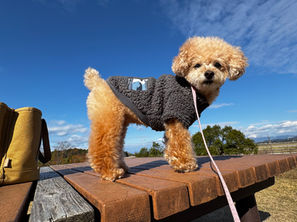 4月13日（月）午前中休診します