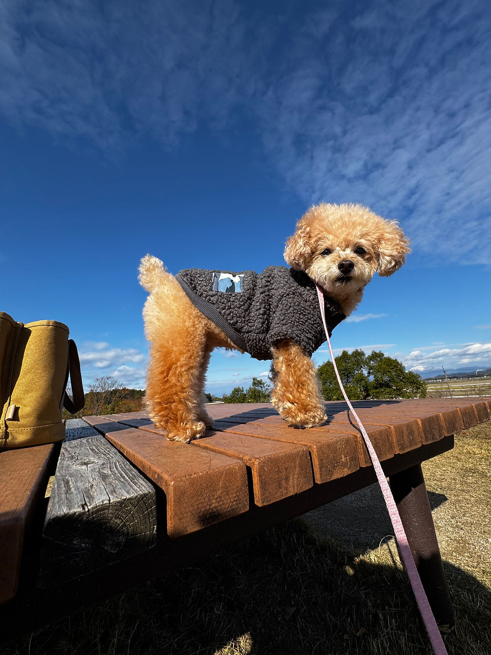 4月13日（月）午前中休診します