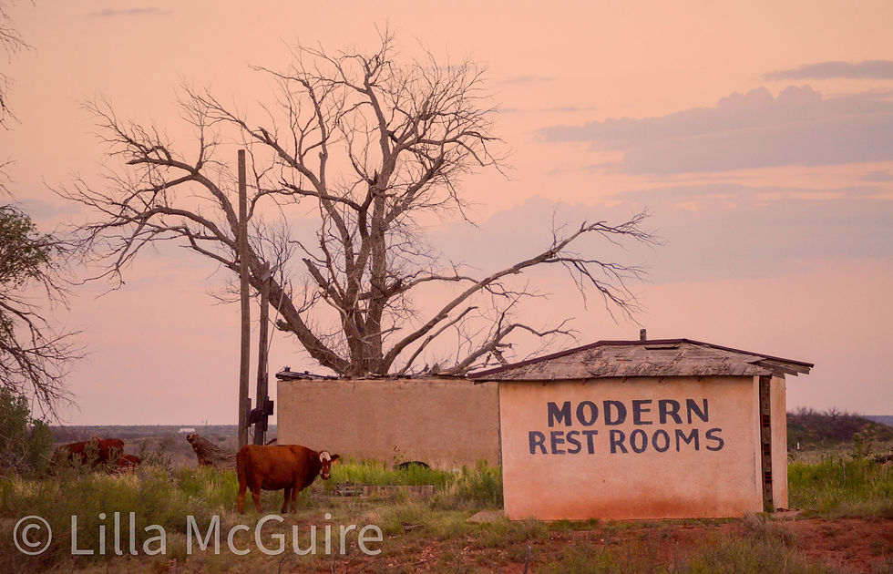 A lone cow standing beside the abandoned Modern Restrooms building in Glenrio, Texas on Route 66 before a storm.
