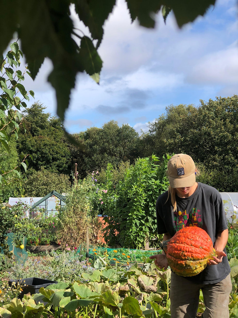OAK Gardening Masterclass
