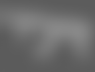3D Modeling/Animation