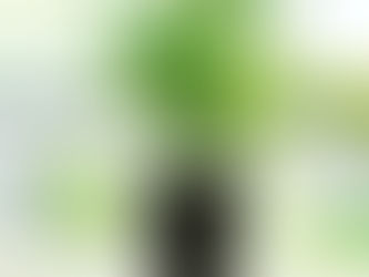 2021年旺考試增運法