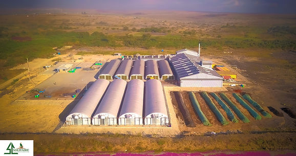 Drone Site Overview 2_edited.jpg