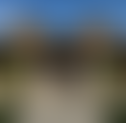 Icelandic Rootshús Receives $300,000 Grant to Build a New Icelandic Heritage Center