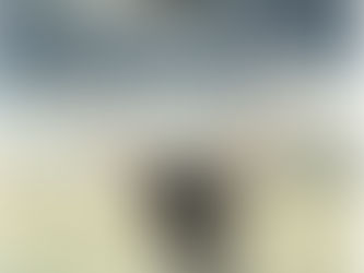 A Change of Heart: The Amazing Power of Forgiveness