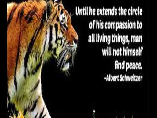 Compassion Should Extend To All Forms of Life