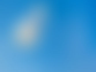 Like a Feather Surrendered to the Will of the Wind