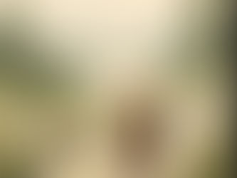 A Task for Ourselves to Undertake