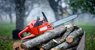 Best Small Chainsaw