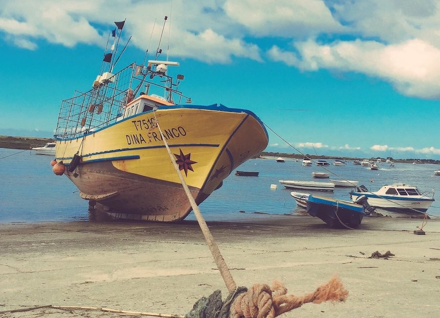 Large boat tied up on dry land close to water.