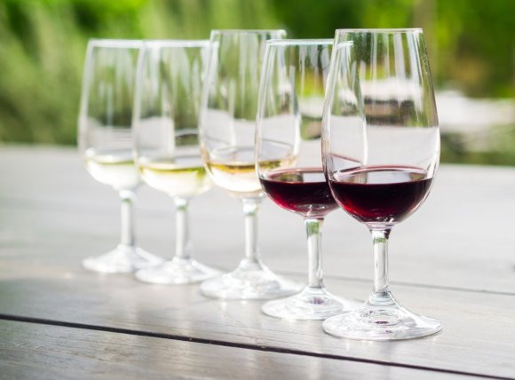 6 wine glasses lined up for wine tasting.