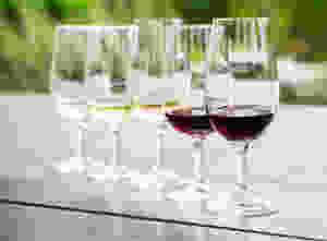 6 wine glasses lined up for wine tasting.