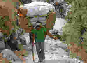 Man carrying a heavy load on his back.