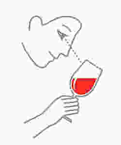 Illustration of first step of tasting wine. The Wine glass is tilted to a 45-degree angle to evaluate the color of the wine.