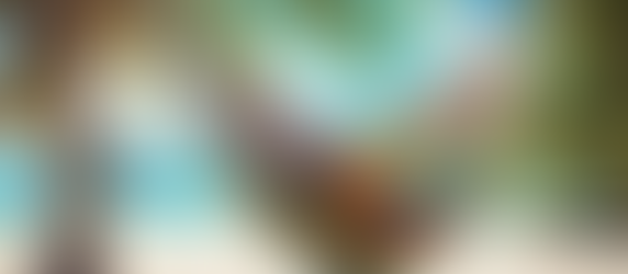 Plan Your Dream Vacation with Travels By Danielle