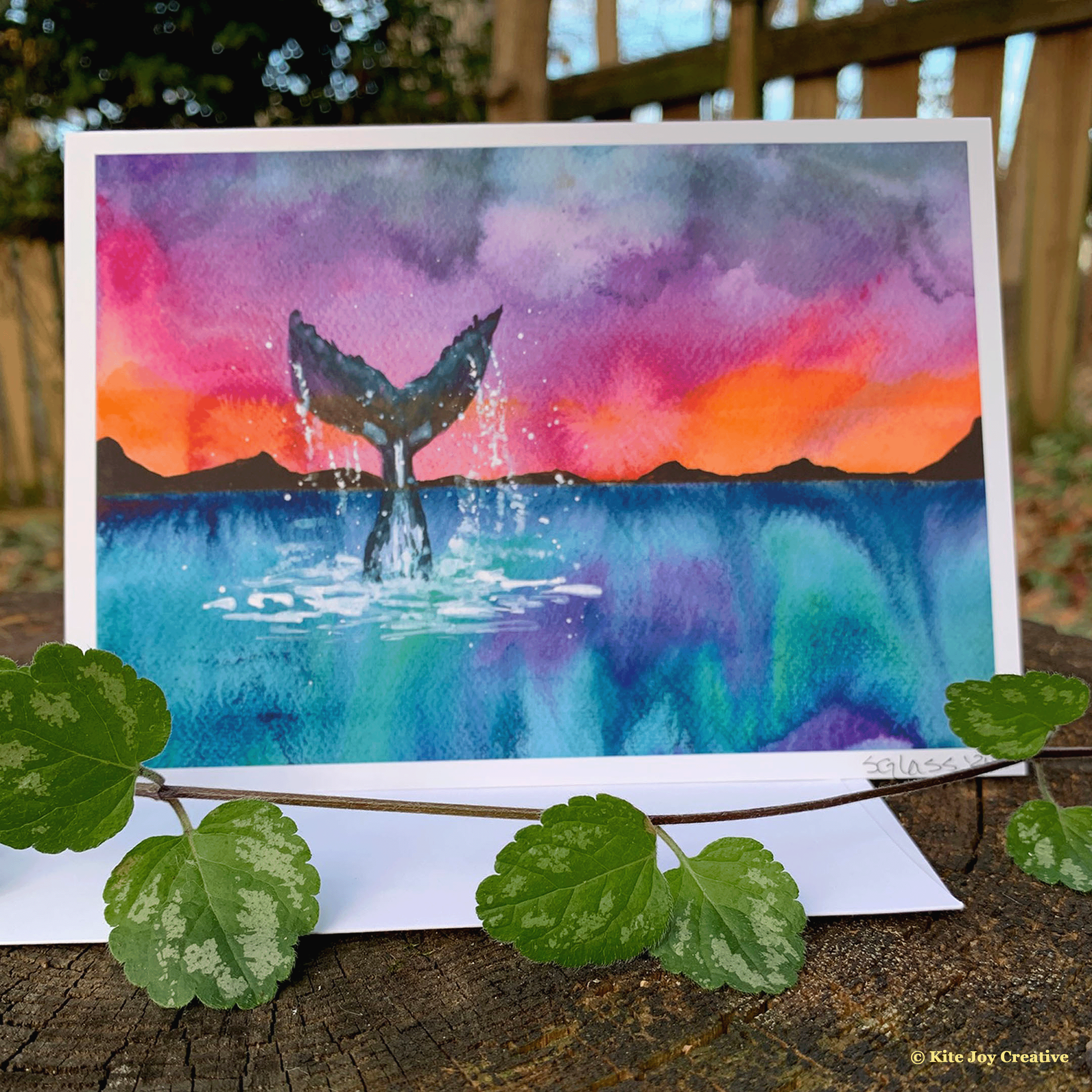 Whale Tail Card