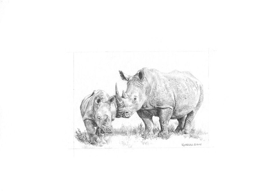 A miniature drawing of a rhino and her baby captures a tender bond in finely detailed simplicity.