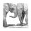 Thumbnail: "Elephant Embrace"
