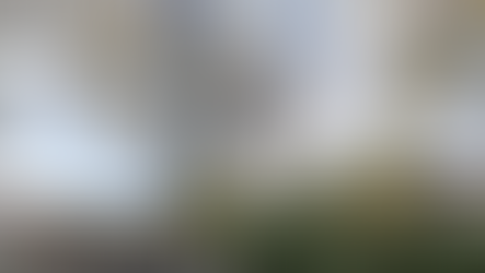 De plataan bij WSV Nieuwe Haven, of: hoe we €15.000 uitspaarden voor de gemeente.