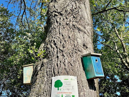 De 4e TreeTag is onthuld