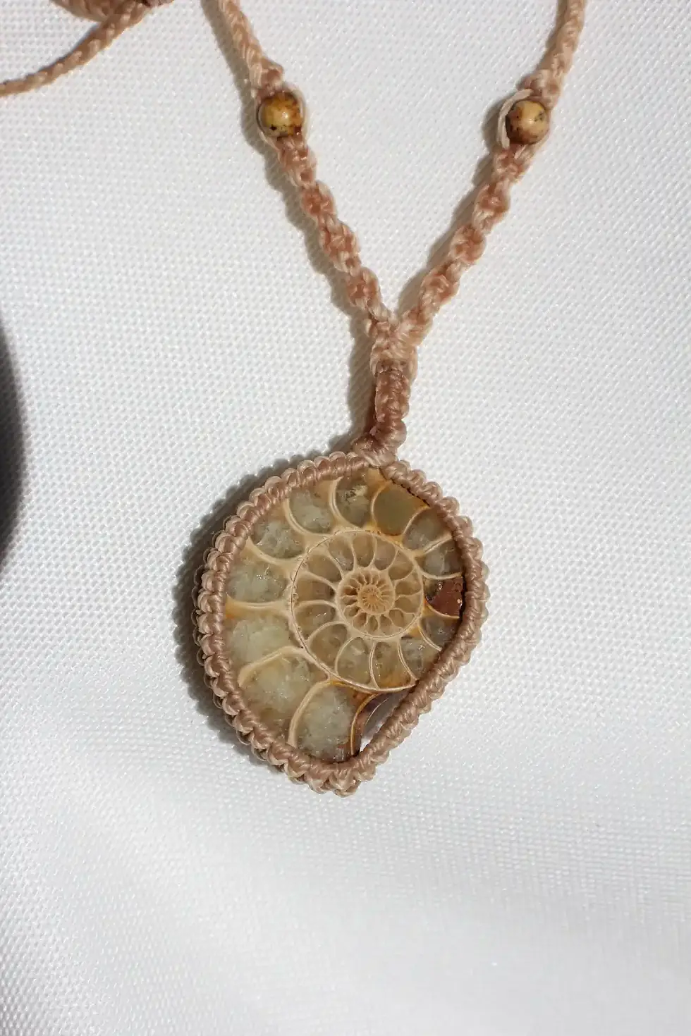 Thumbnail: Ammonite Fossil - Golden