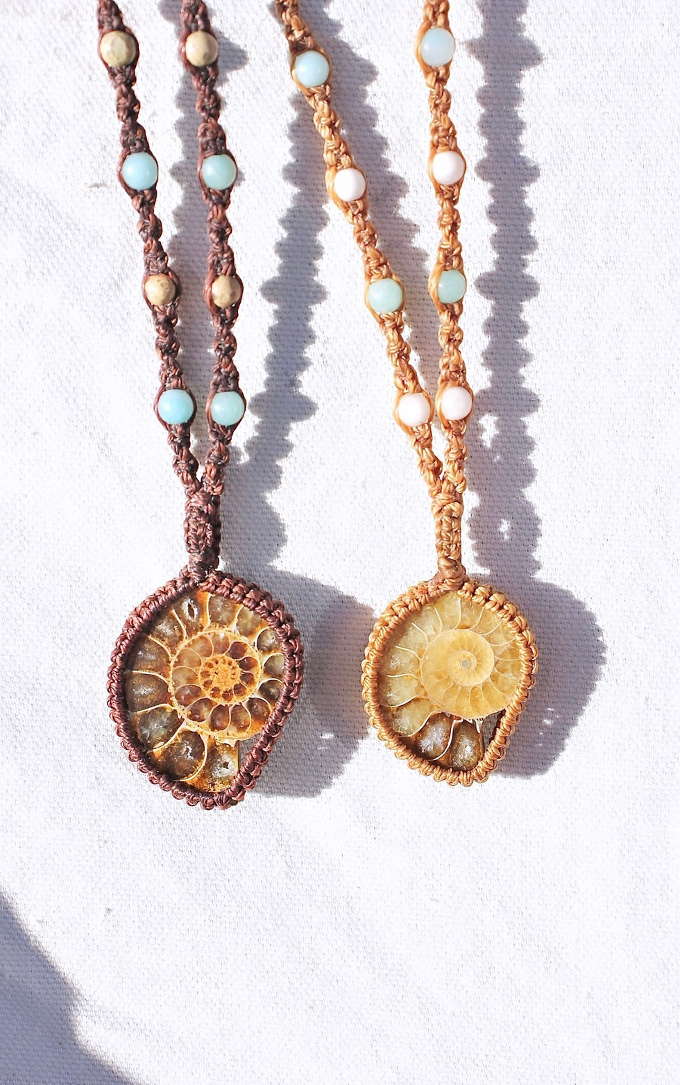 Thumbnail: Ammonite & Jasper - Brown