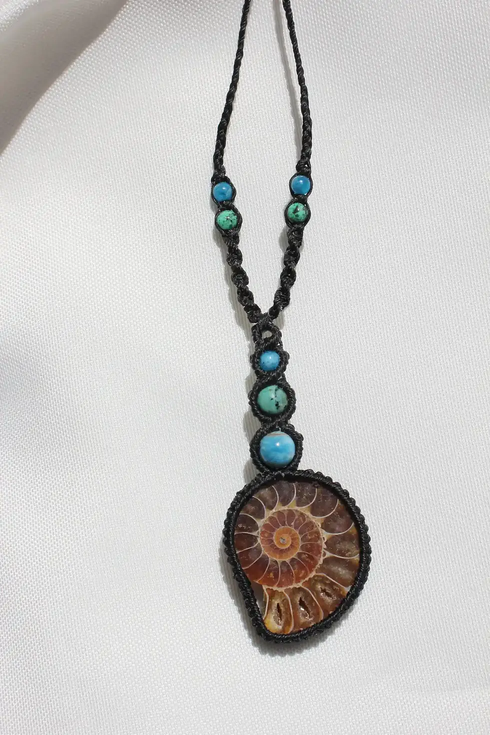 Thumbnail: Ammonite Fossil & Apatite - Black