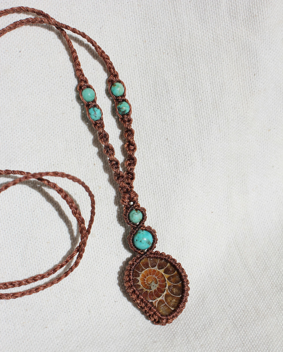 Thumbnail: Ammonite & Jasper Triple - Brown