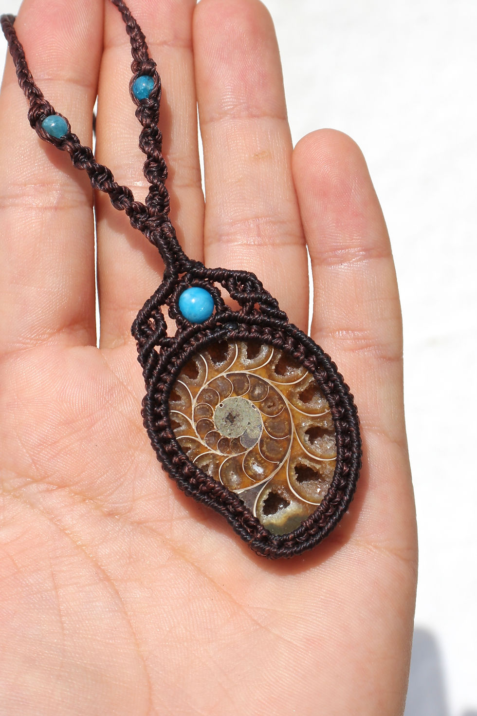 Thumbnail: Ammonite & Apatite - Brown