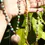 Thumbnail: Beaded Gemstone Necklace