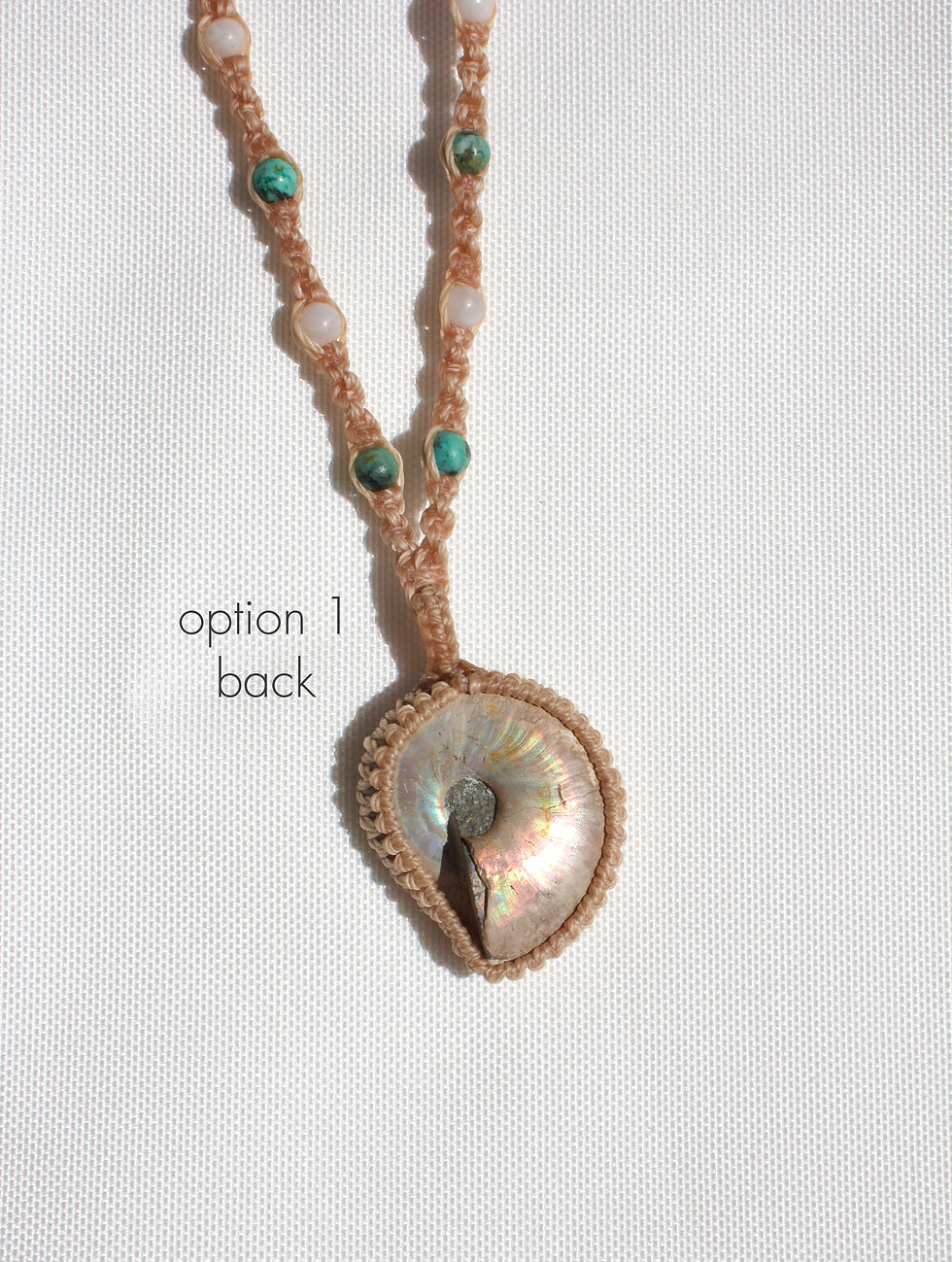 Thumbnail: Ammonite Fossil - Golden