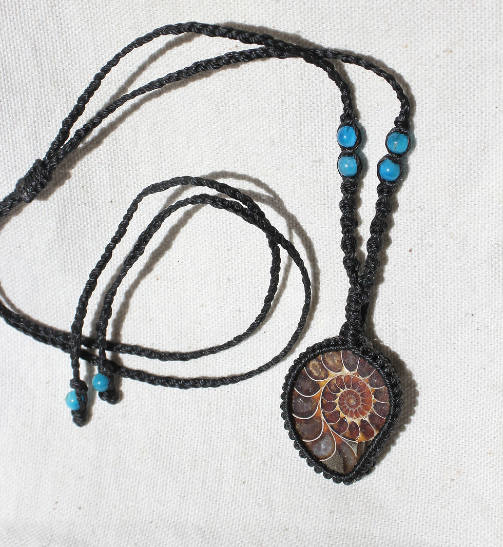 Thumbnail: Ammonite & Apatite - Black