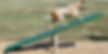 BP Teeter Toter_Natural
