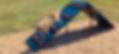 barkpark_king_hill